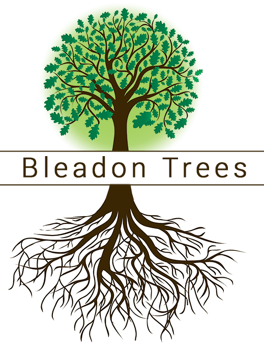 Bleadon Trees